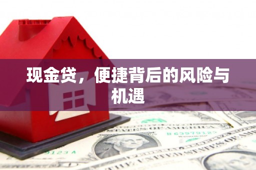 头屋现金贷，便捷背后的风险与机遇