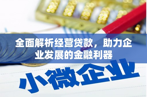 头屋全面解析经营贷款，助力企业发展的金融利器