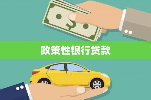 头屋政策性银行贷款