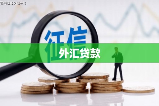 头屋外汇贷款