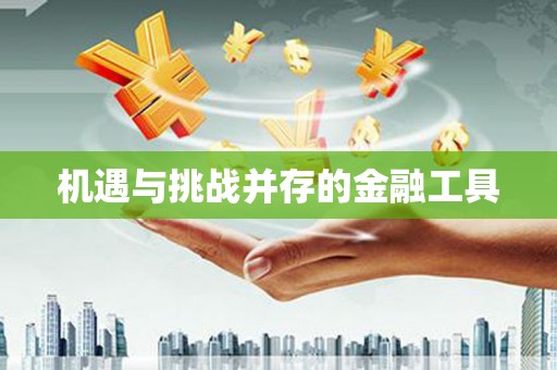 头屋机遇与挑战并存的金融工具
