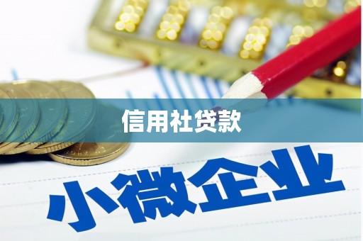 头屋信用社贷款