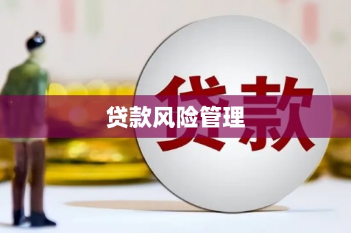 头屋贷款风险管理