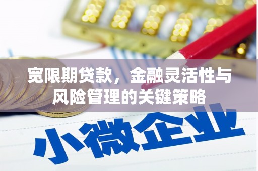 头屋宽限期贷款，金融灵活性与风险管理的关键策略