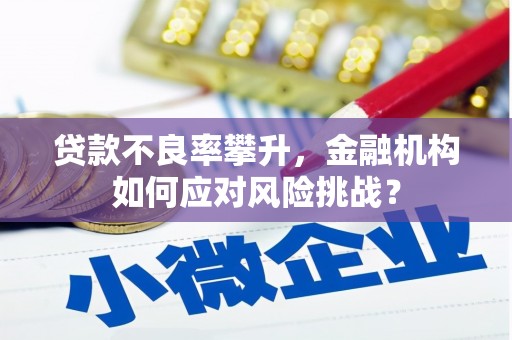 头屋贷款不良率攀升，金融机构如何应对风险挑战？