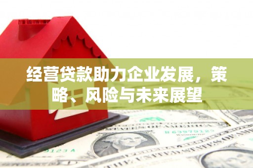 头屋经营贷款助力企业发展，策略、风险与未来展望