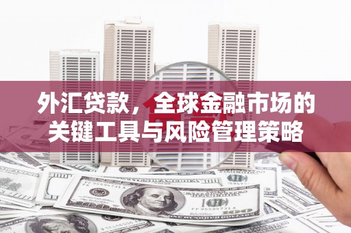 头屋外汇贷款，全球金融市场的关键工具与风险管理策略