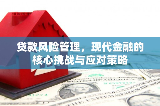 头屋贷款风险管理，现代金融的核心挑战与应对策略