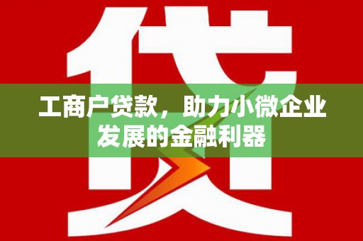 头屋工商户贷款，助力小微企业发展的金融利器