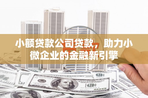 头屋小额贷款公司贷款，助力小微企业的金融新引擎