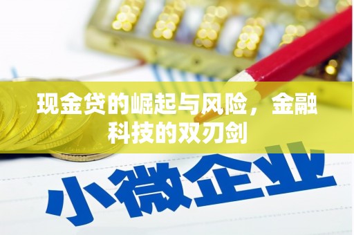 头屋现金贷的崛起与风险，金融科技的双刃剑