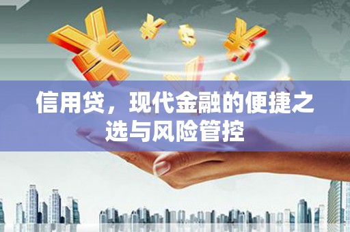 头屋信用贷，现代金融的便捷之选与风险管控