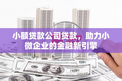 头屋小额贷款公司贷款，助力小微企业的金融新引擎