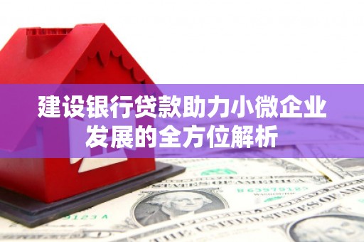 头屋建设银行贷款助力小微企业发展的全方位解析