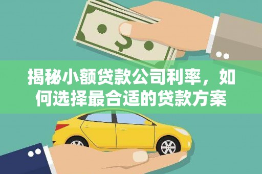 头屋揭秘小额贷款公司利率，如何选择最合适的贷款方案