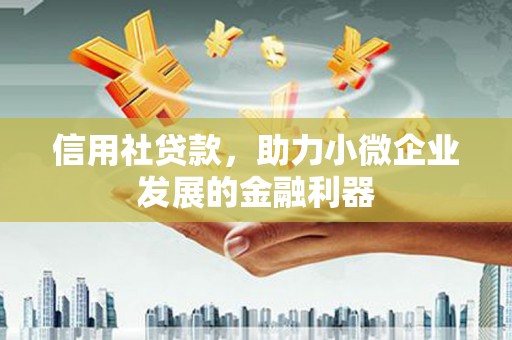 头屋信用社贷款，助力小微企业发展的金融利器