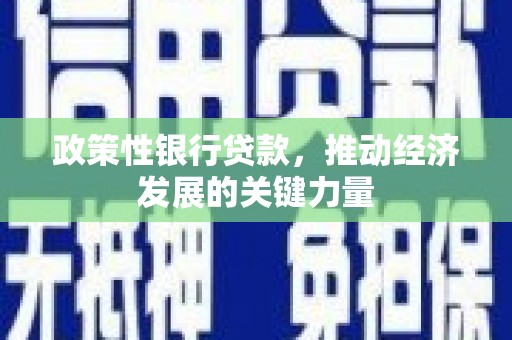 头屋政策性银行贷款，推动经济发展的关键力量