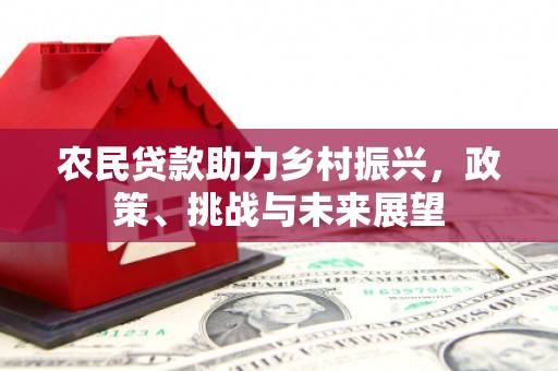 头屋农民贷款助力乡村振兴，政策、挑战与未来展望
