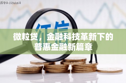 头屋微粒贷，金融科技革新下的普惠金融新篇章
