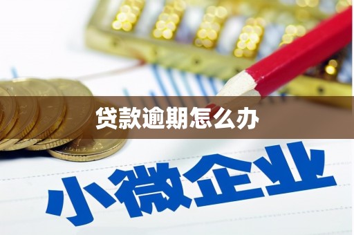 头屋贷款逾期怎么办