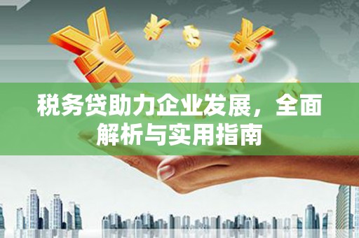 头屋税务贷助力企业发展，全面解析与实用指南