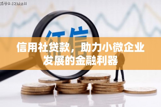 头屋信用社贷款，助力小微企业发展的金融利器