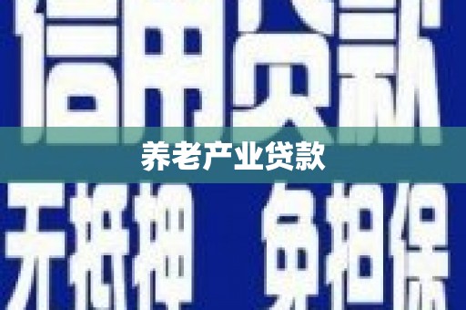 头屋养老产业贷款