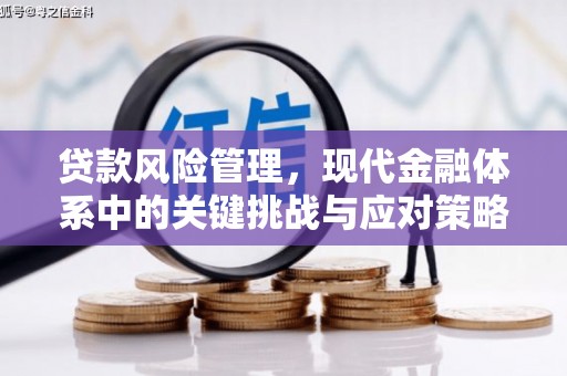 头屋贷款风险管理，现代金融体系中的关键挑战与应对策略