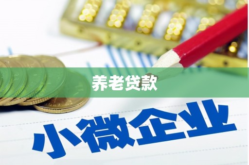 头屋养老贷款