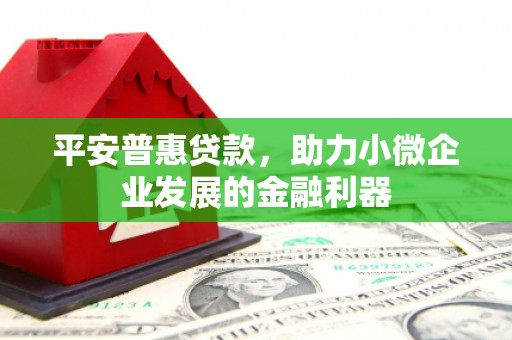 头屋平安普惠贷款，助力小微企业发展的金融利器