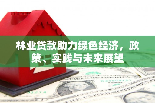 头屋林业贷款助力绿色经济，政策、实践与未来展望