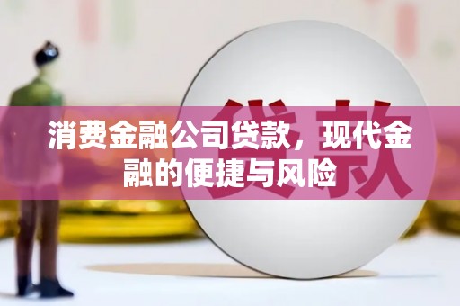 头屋消费金融公司贷款，现代金融的便捷与风险