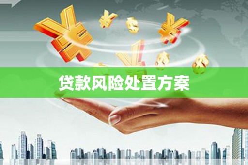 头屋贷款风险处置方案