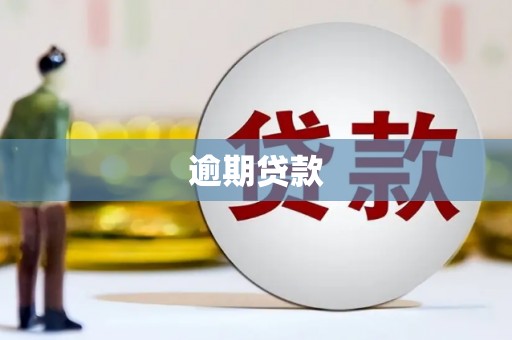 头屋逾期贷款
